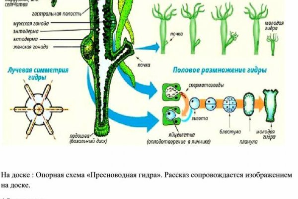 Зайти на кракен через браузер